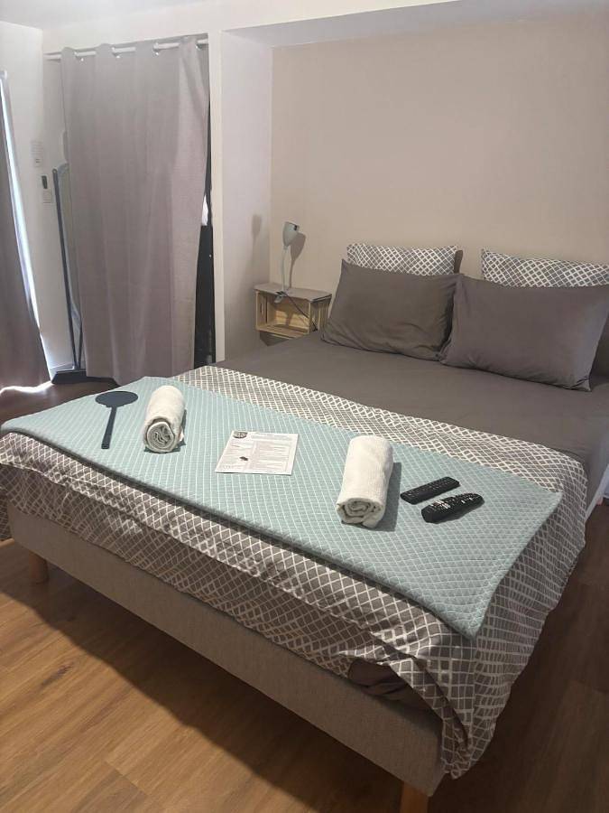 Gîte pour 2 personnes, avec terrasse ainsi que piscine et jardin dans Puy-Guillaume - 4