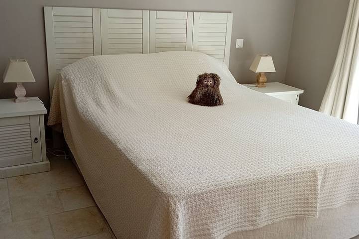 Gîte pour 2 personnes, avec piscine ainsi que jardin et terrasse à La Roque-sur-Pernes - 3