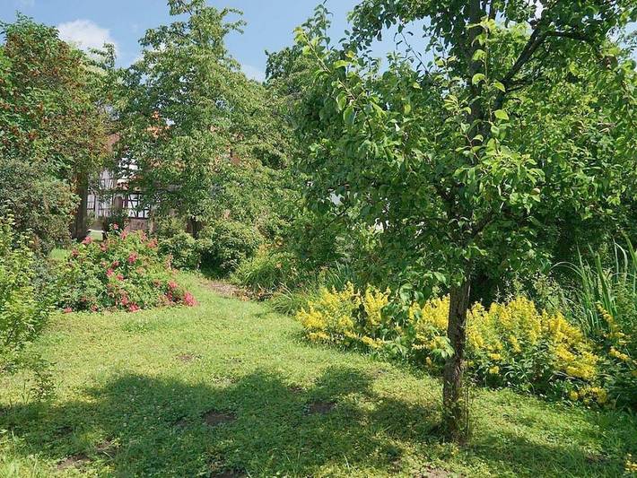 Bauernhof für 4 Personen, mit Sauna und Garten in der Pfalz - 4