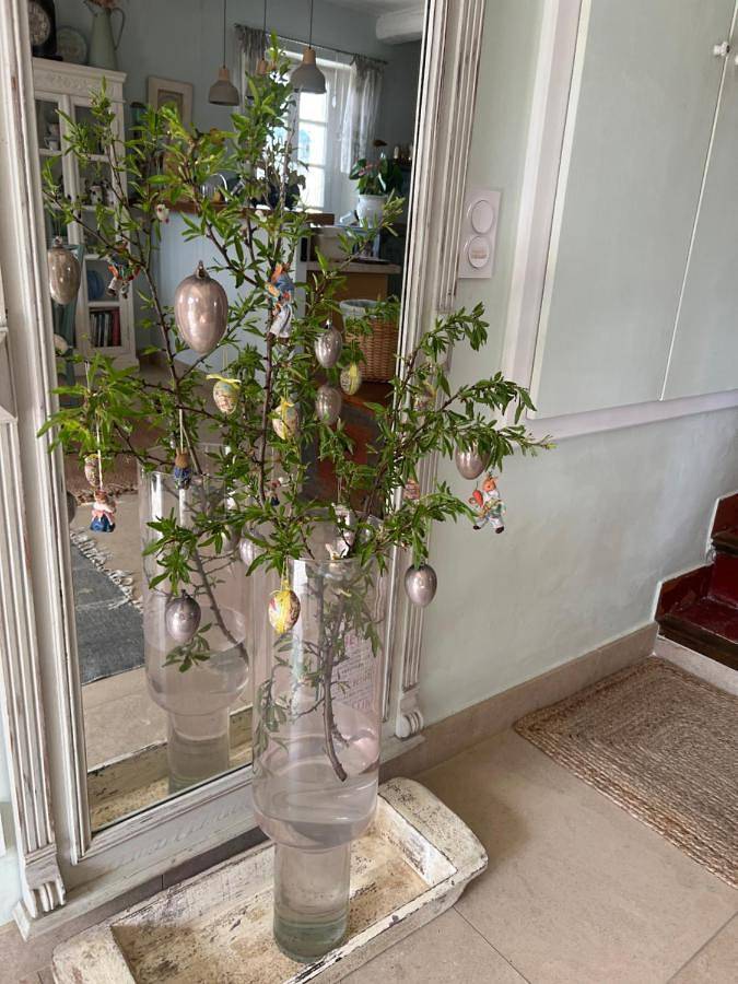 Chambre d’hôte pour 4 personnes, avec piscine ainsi que vue et jardin