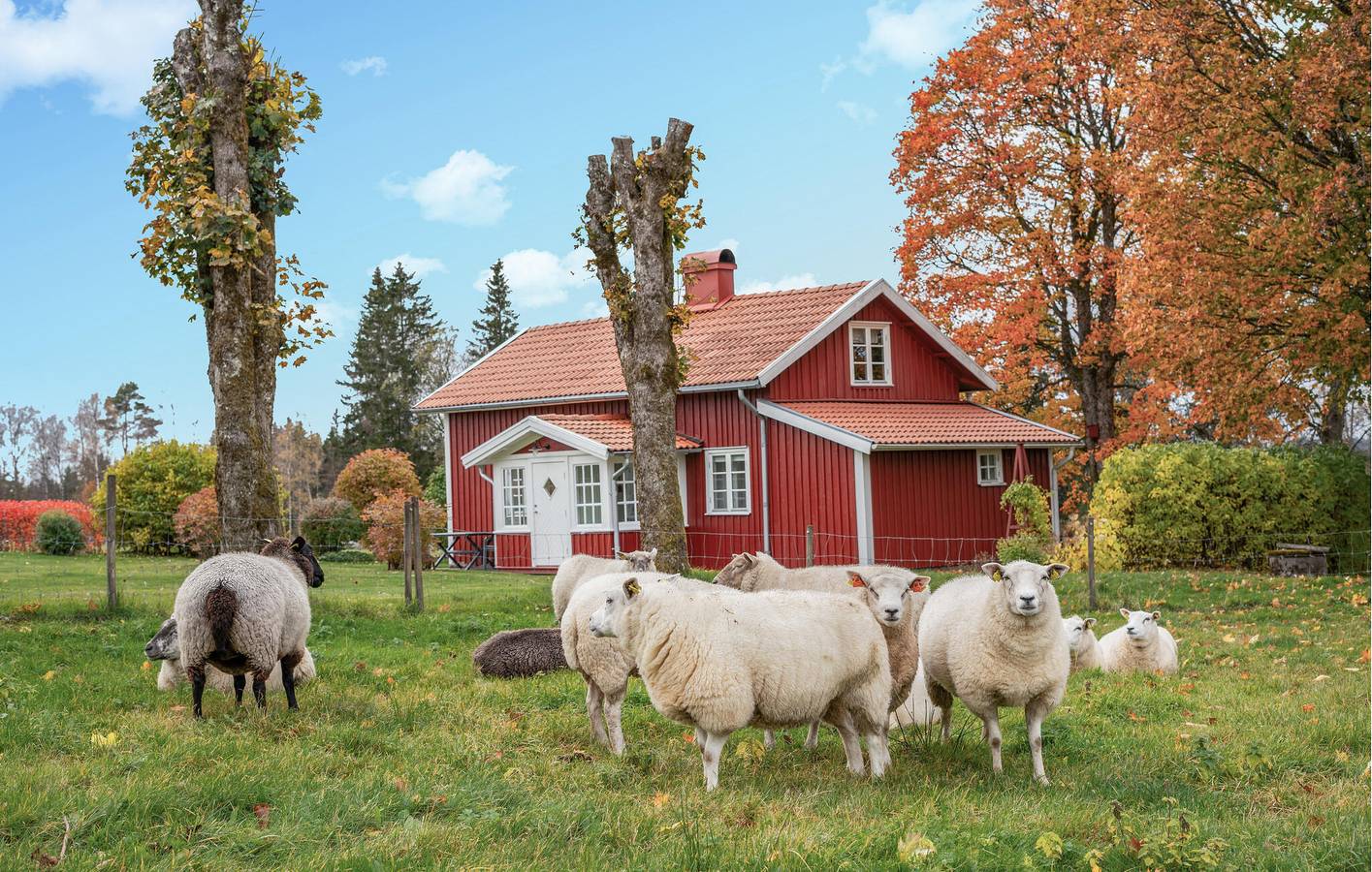 Holiday home for 4 people with terrace in Västergötland