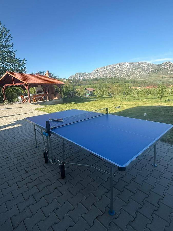 Location de vacances pour 12 personnes, avec jardin et vue, animaux acceptés à Alba (Romania) - 2