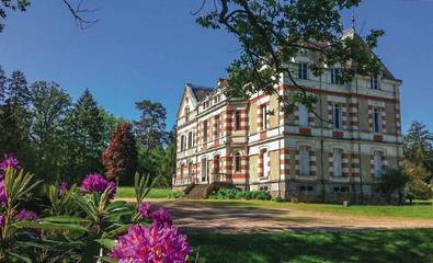 Château pour 30 personnes, avec piscine ainsi que jardin et balcon dans la Sarthe