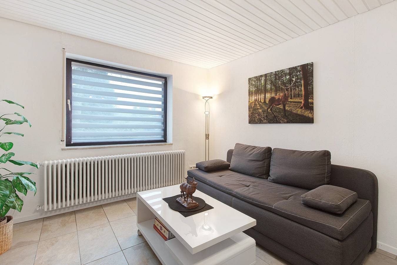 Entire apartment, Schwarzwaldglück St. Blasien: Apartment with Shared Garden & Wi-Fi in the Black Forest in St. Blasien, Southern Black Forest