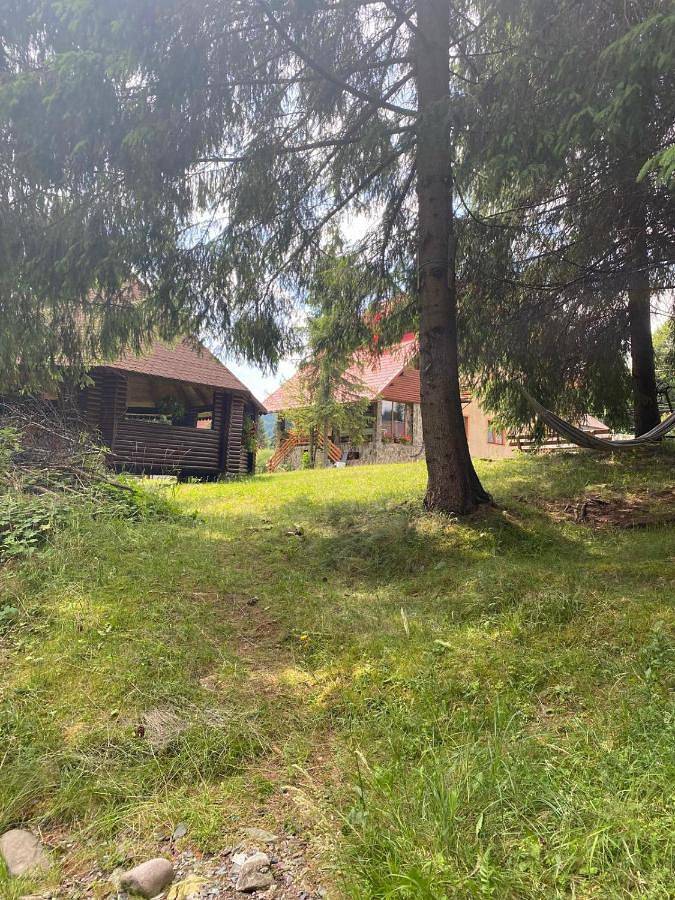 Maison d’hôte pour 15 personnes, avec vue ainsi que jardin et terrasse à Alba (Romania) - 3