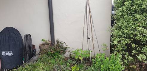 Cottage for 6 People in Taranaki, New Zealand, Photo 4