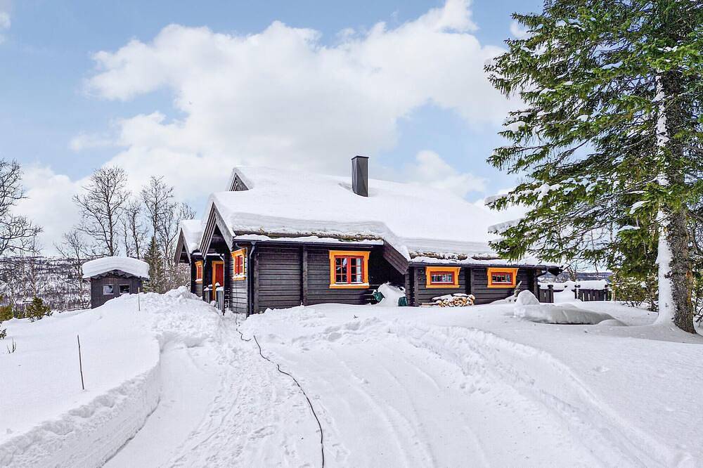 Haustierfreundliches Haus mit 4. in Tydal
