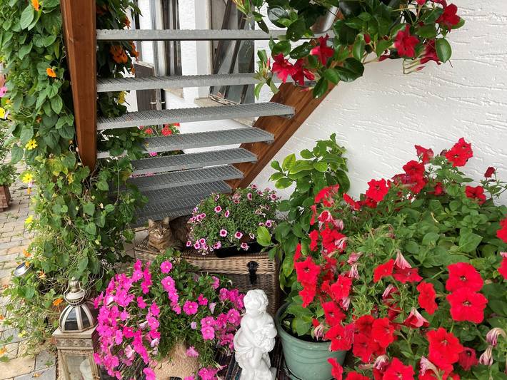 Ferienwohnung für 2 Personen, mit Balkon und Balkon/Terrasse in Rimsting - 4