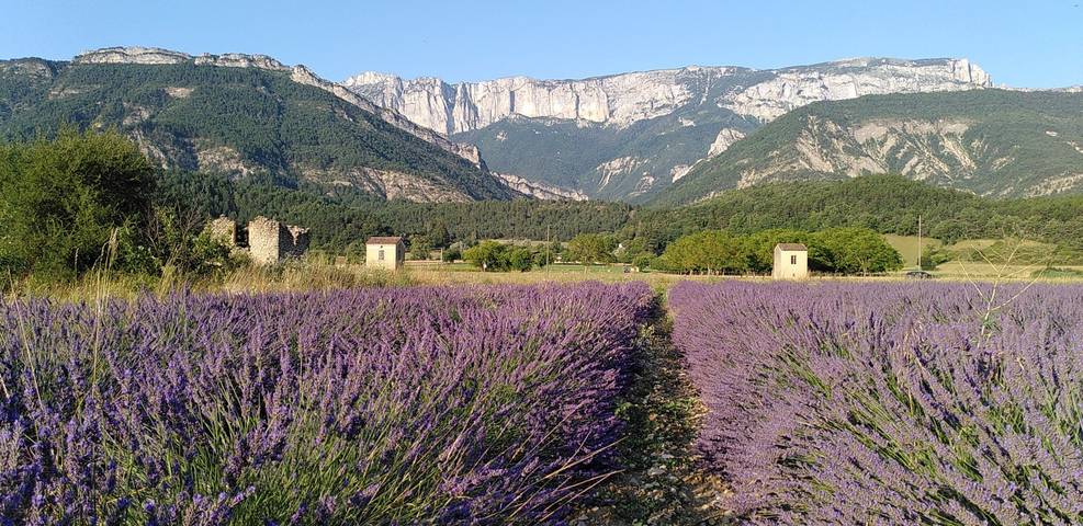 Gîte pour 12 personnes, avec jardin et terrasse