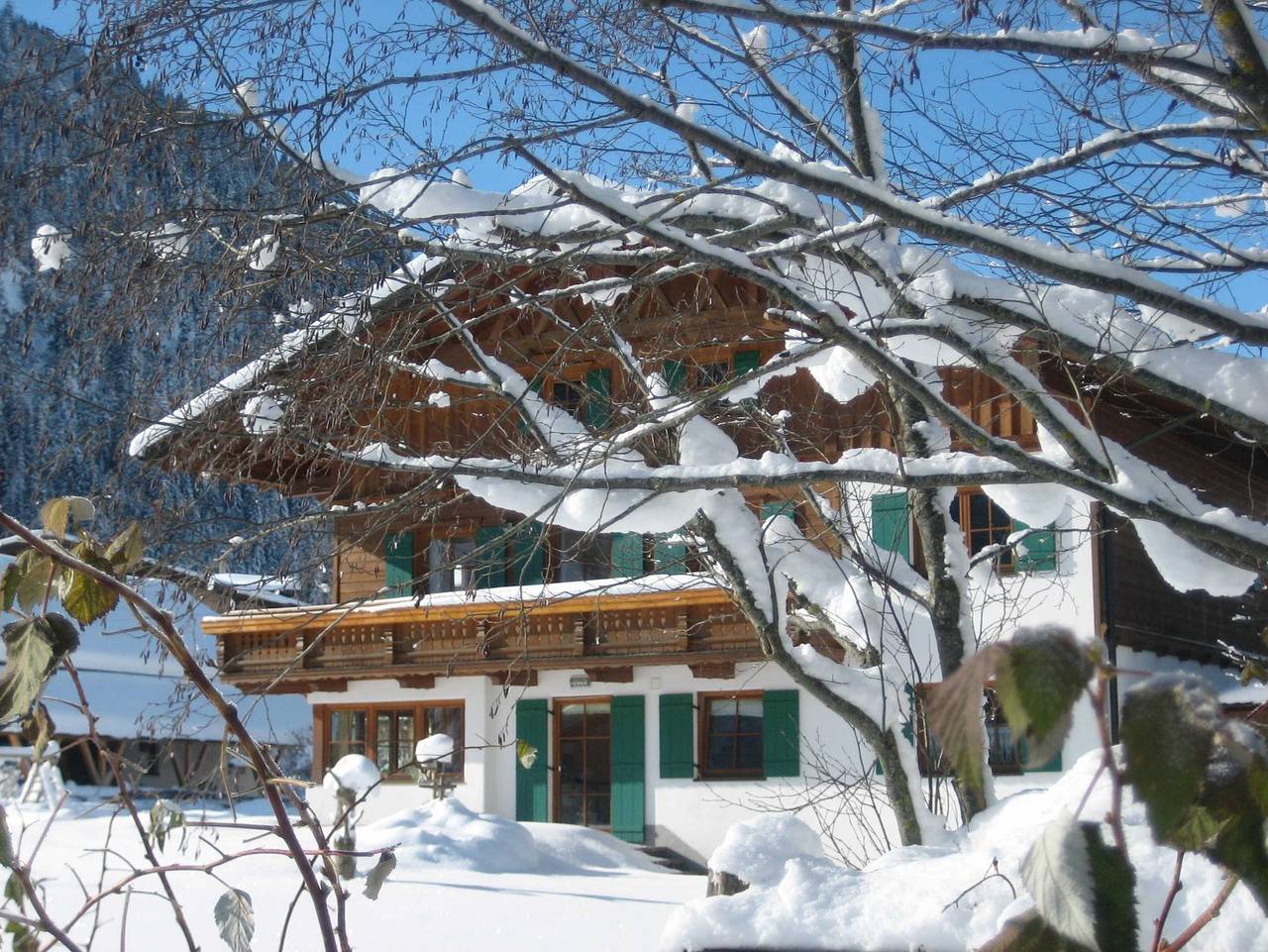 Ganze Ferienwohnung, Das Bäckergut am Haldensee - Natursuite Bergsee in Grän, Allgäuer Alpen (Österreich)