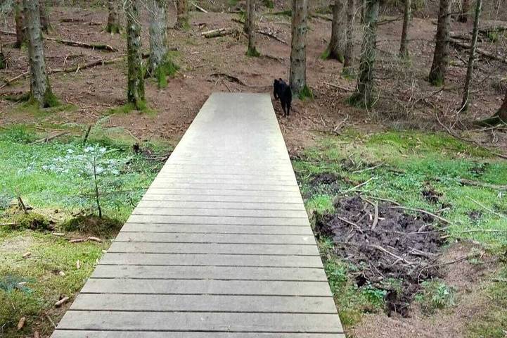 Location de vacances pour 3 personnes, avec jardin et jacuzzi à Félines - 3