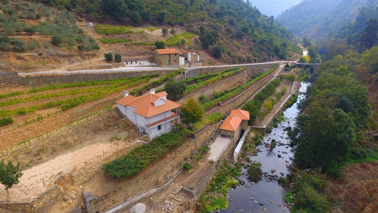 Quinta de Recião in Lamego, Vale do Douro
