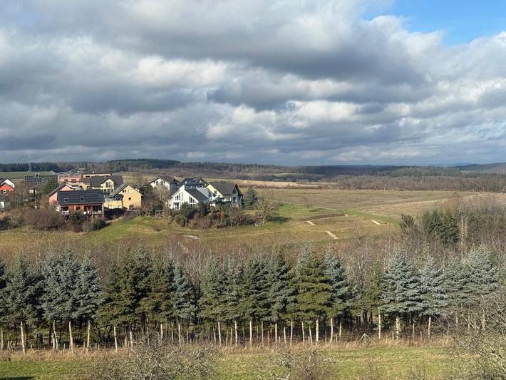 Ferienhaus für 10 Personen, mit Balkon und Terrasse sowie Ausblick in Monzelfeld