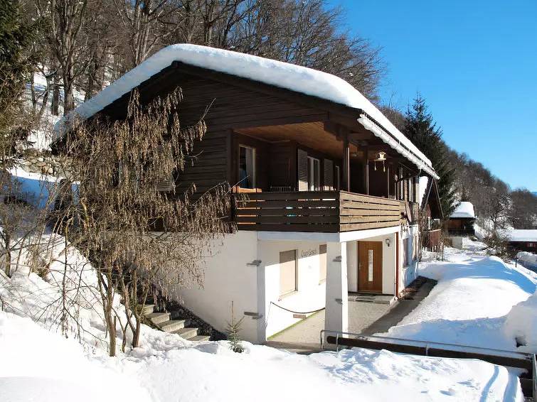 Ganze Wohnung, 4 Pièces 5 Personnes in Ruschein, Alpenarena
