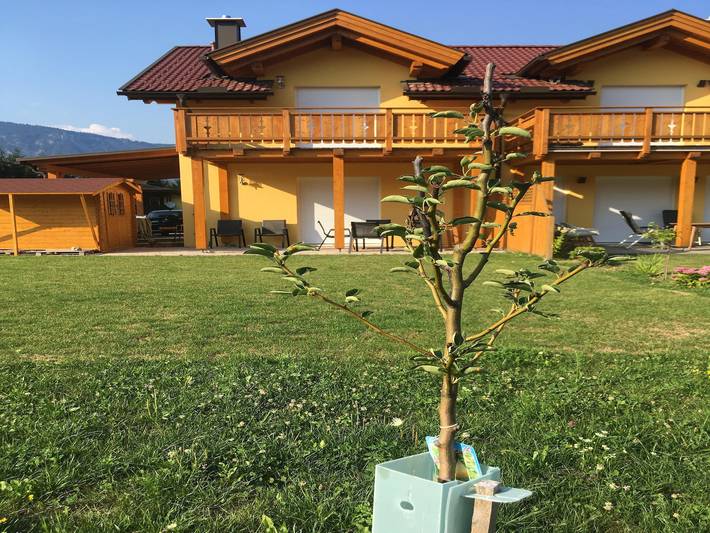 Villa mit Sauna, nahe Skigebiet Dreiländereck in Karawanken und Bachergebirge, Marktgemeinde Arnoldstein