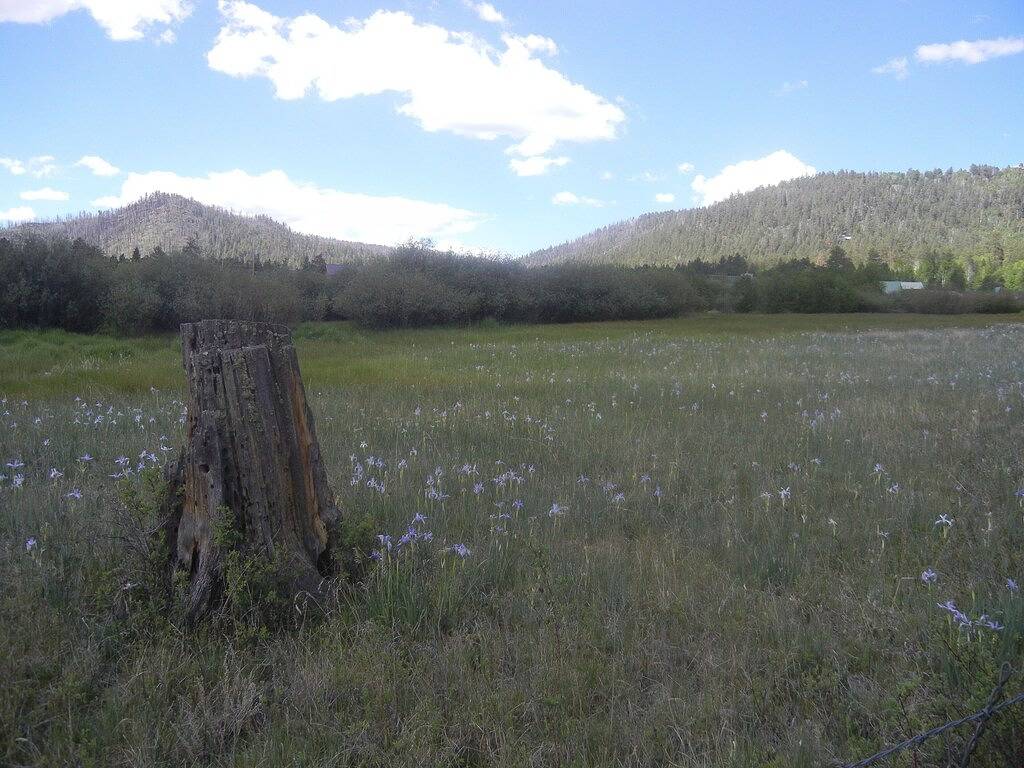 Log Cabin for 6 Guests in Greer, Arizona