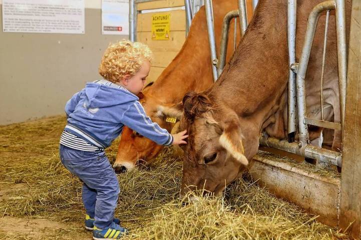 Ferienpark für 5 Personen, mit Balkon und Sauna sowie Pool in der Schweiz - 3