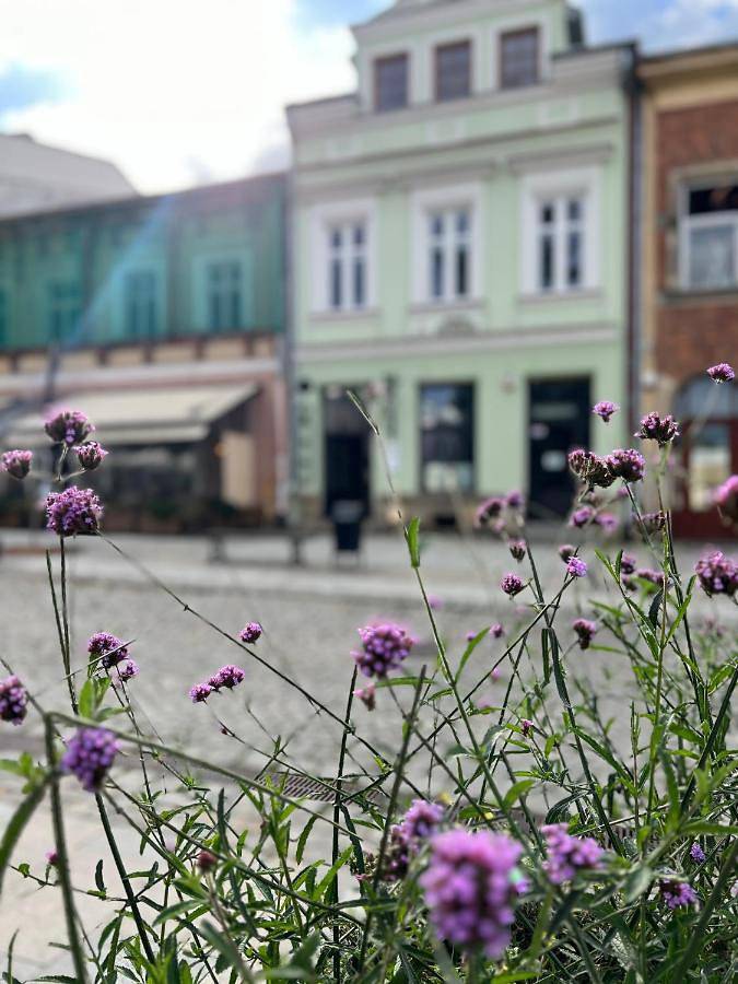 Apartament wakacyjny dla 3 osób w Krosno