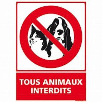 Gîte pour 2 personnes, avec terrasse à Ventiseri - 2