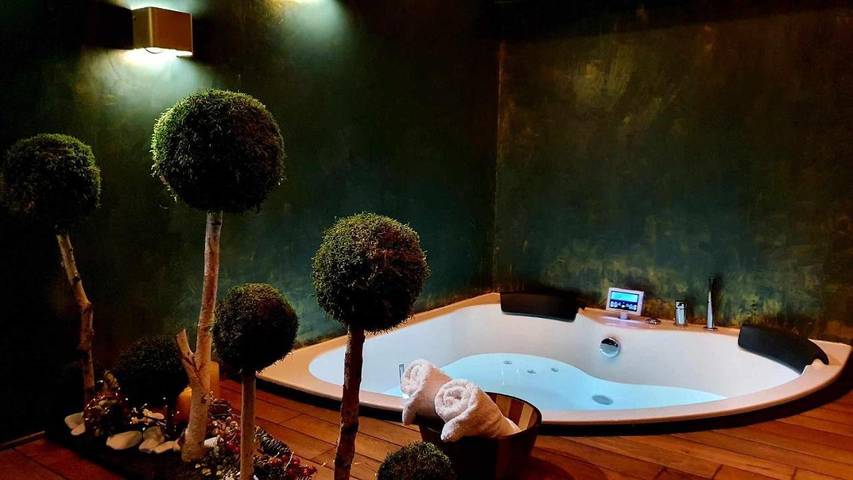 Location de vacances pour 2 personnes, avec sauna et jacuzzi dans Santes - 3