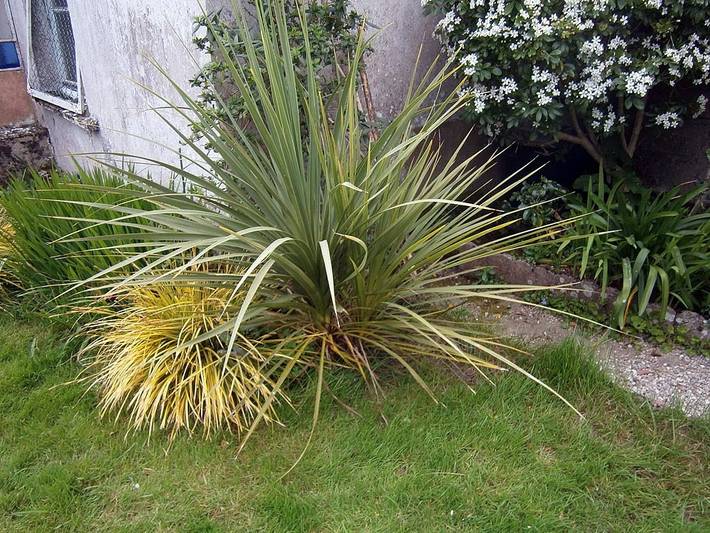 Location de vacances pour 2 personnes à Vannes - 2