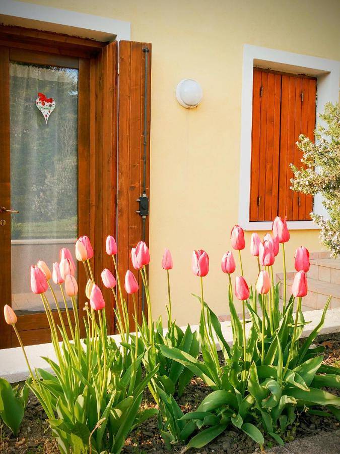 Appartement entier, One-Bedroom Apartment in Farra di Soligo, Province de Trévise