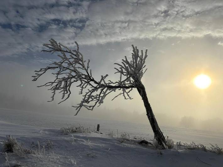 Ferienhaus für 4 Personen, mit Garten und Sauna sowie Ausblick in Neuhausen/Erzgebirge - 3
