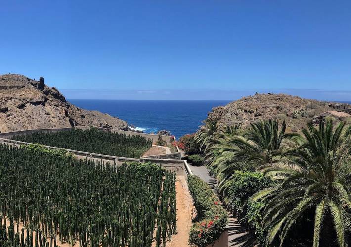 Casa rural para 4 personas, con piscina además de jacuzzi y jardín en Icod de los Vinos - 2