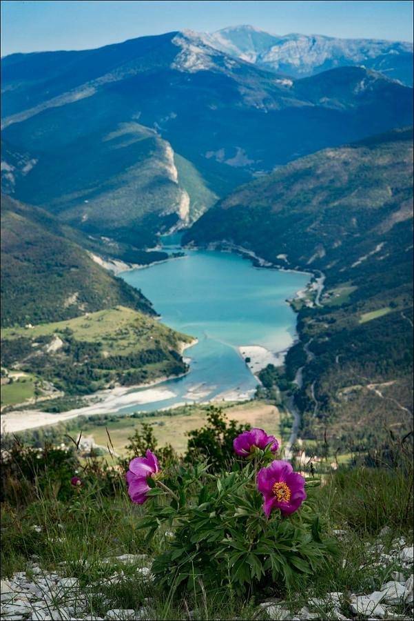 Gîte pour 6 personnes, avec jardin et vue, adapté aux familles à Briançonnet - 4
