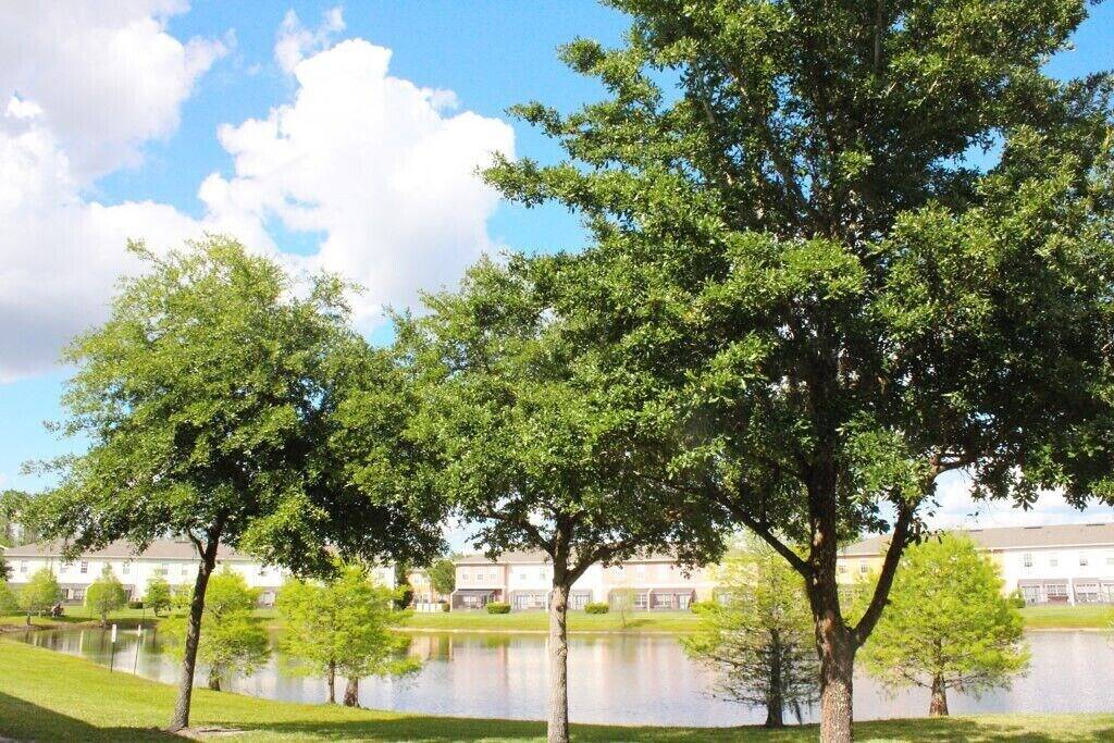 Fitnessraum, Pool, Whirlpool - 8 Gäste - Resort-Stil in Osceola County