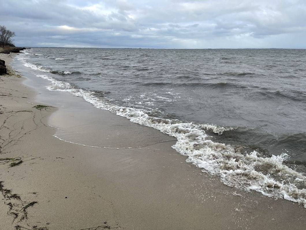 Ganze Ferienwohnung, Strandperle 2 in Loissin, Vorpommern