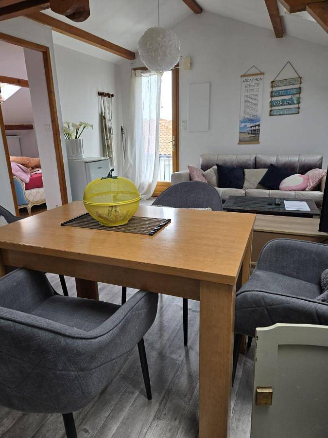 Location de vacances pour 2 personnes, avec jardin et vue dans Lac de Biscarrosse - 2