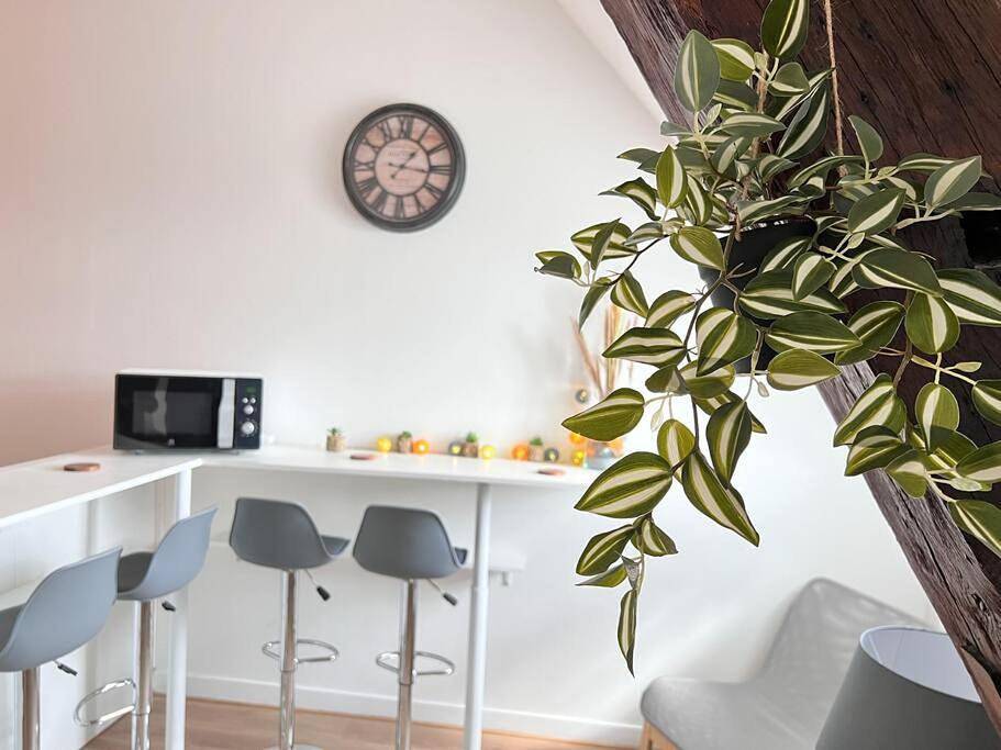 Appartement entier, One-Bedroom Apartment in Chalon-sur-Saône, Région de Chalon-sur-Saône
