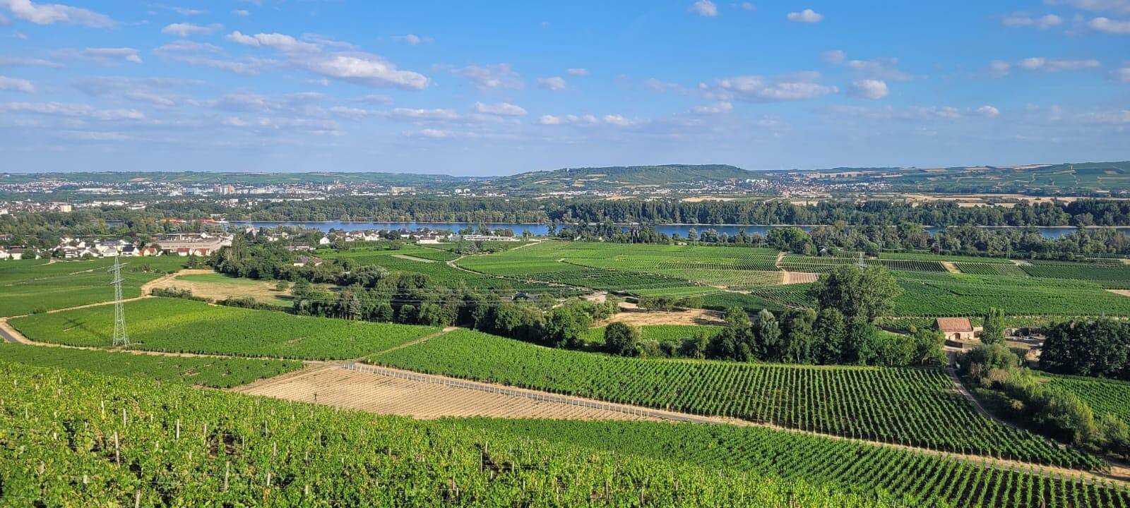 Ganze Wohnung, Ferienwohnung 'Augusta' mit privater Terrasse und Wlan in Geisenheim, Rheingau-Taunus-Kreis