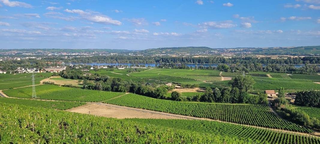 Ganze Wohnung, Ferienwohnung 'Augusta' mit privater Terrasse und Wlan in Geisenheim, Rheingau-Taunus-Kreis
