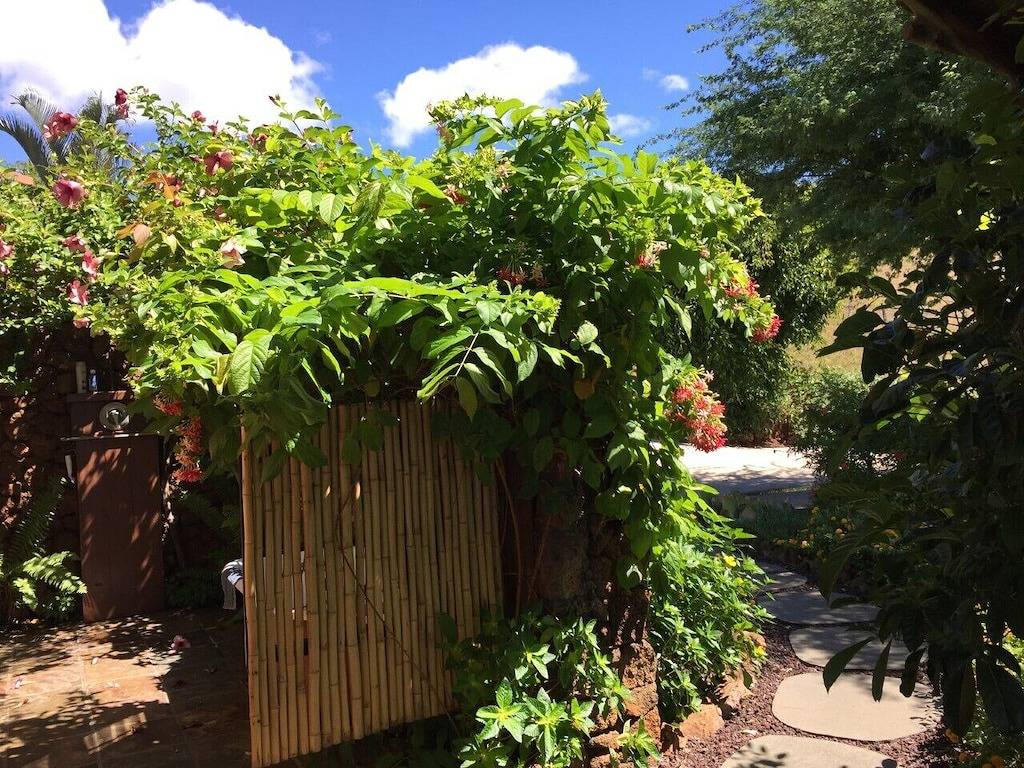 Spektakulärer Meerblick, Ruhe, Schönheit und Entspannung für zwei bis fünf Gäste in Kohala