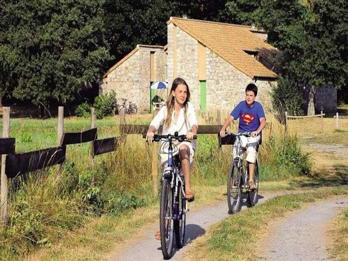 Gîte pour 10 personnes, animaux acceptés à Chambonas - 3