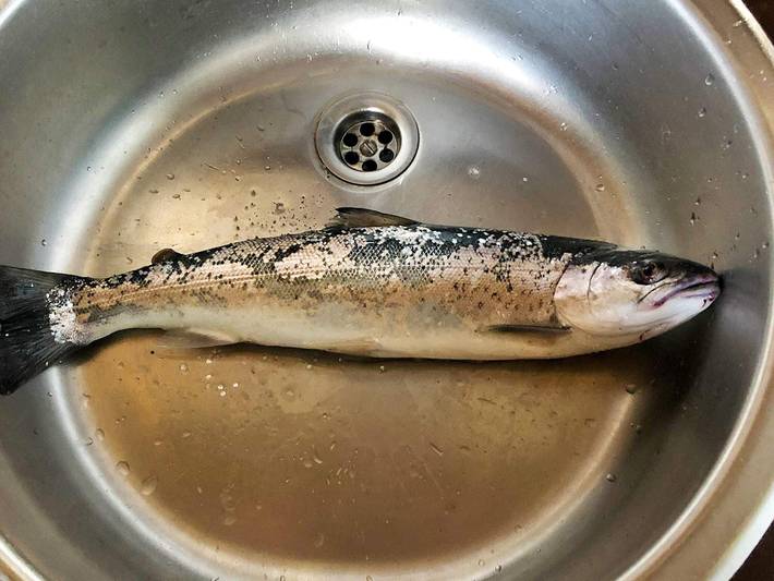 Ferienhaus für 6 Personen, kinderfreundlich in Djursland - 3