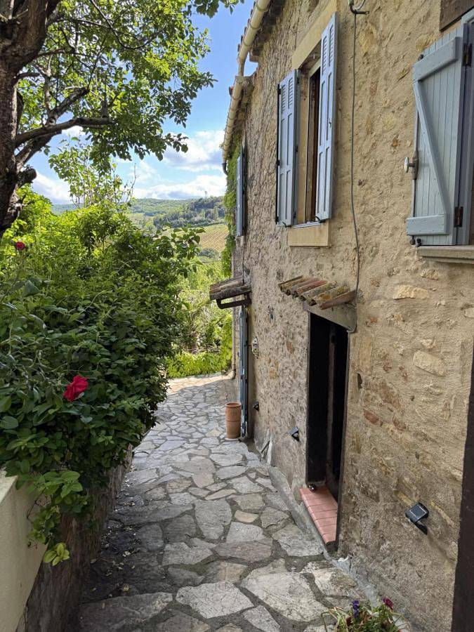 L'écrin vert in Villelongue-d'Aude, Région de Limoux