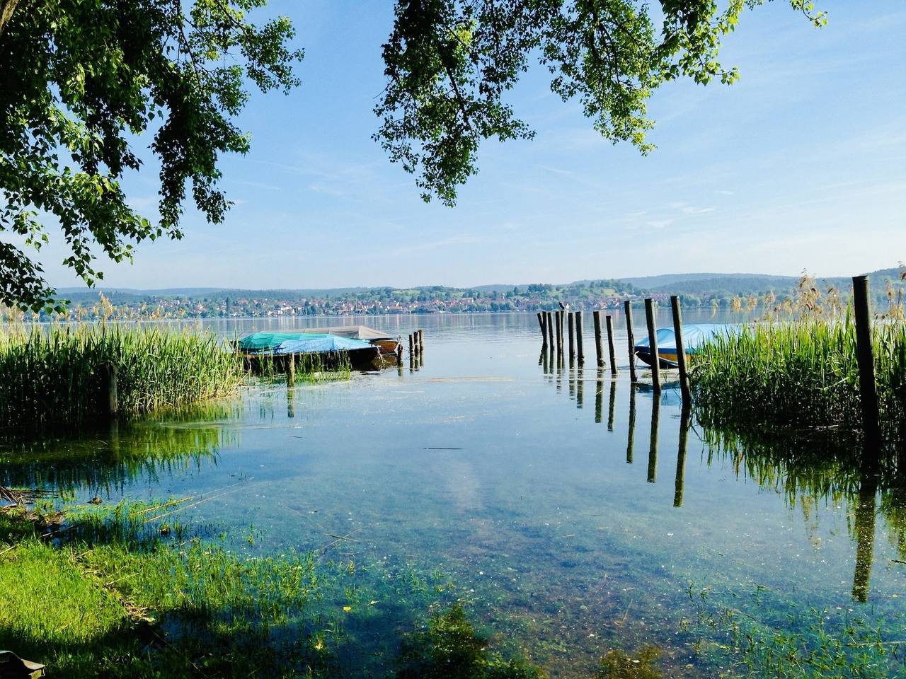 Ganze Ferienwohnung, Ferienwohnungen Inselsteg - Fam. Gräser - Inselnest am Steg, 1-Zimmer-Fewo, Eg, 20 m² in Reichenau, Untersee