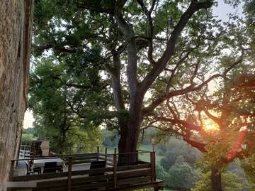 Location De Vacances pour 11 Personnes dans Bourg-de-Visa, Tarn-et-Garonne, Photo 3