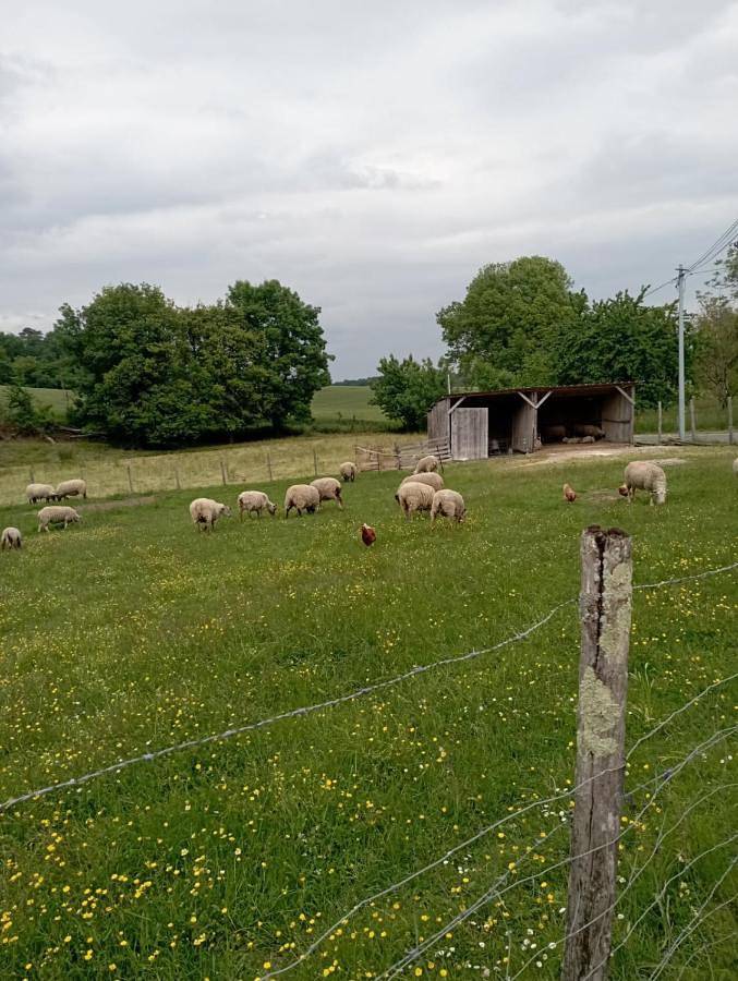Location de vacances pour 4 personnes, avec terrasse et piscine à Saint-Martial-Viveyrol - 2