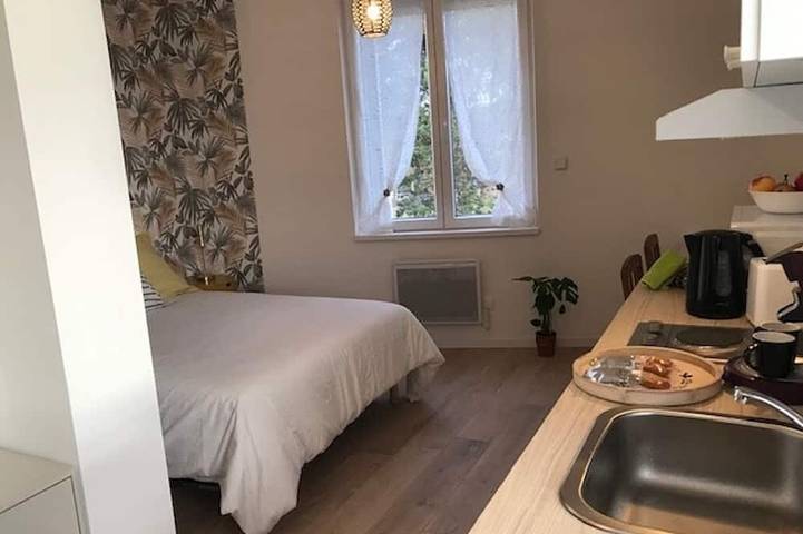 Appartement entier, Cozy and bright studio for 2 in Mulhouse, Région de Mulhouse