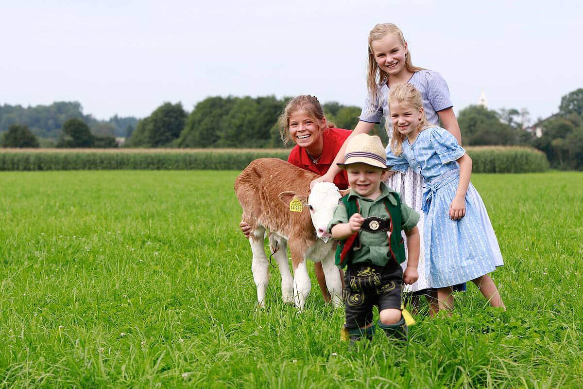 Springerhof - Amelie in Schechen, Landkreis Rosenheim