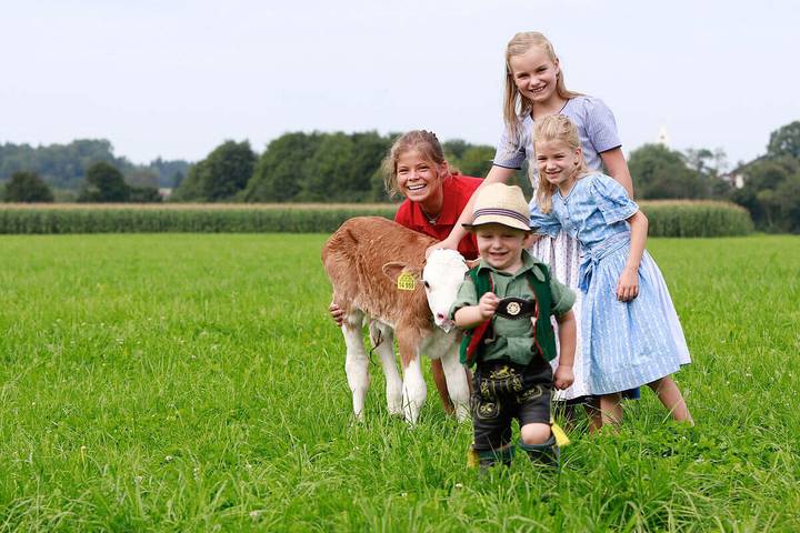 Bauernhof für 5 Personen, mit Garten, mit Haustier