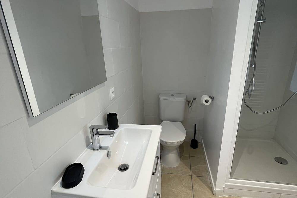 Maison \"Le Grand Sapin\" in Saint-Aignan, Romorantin-Lanthenay region