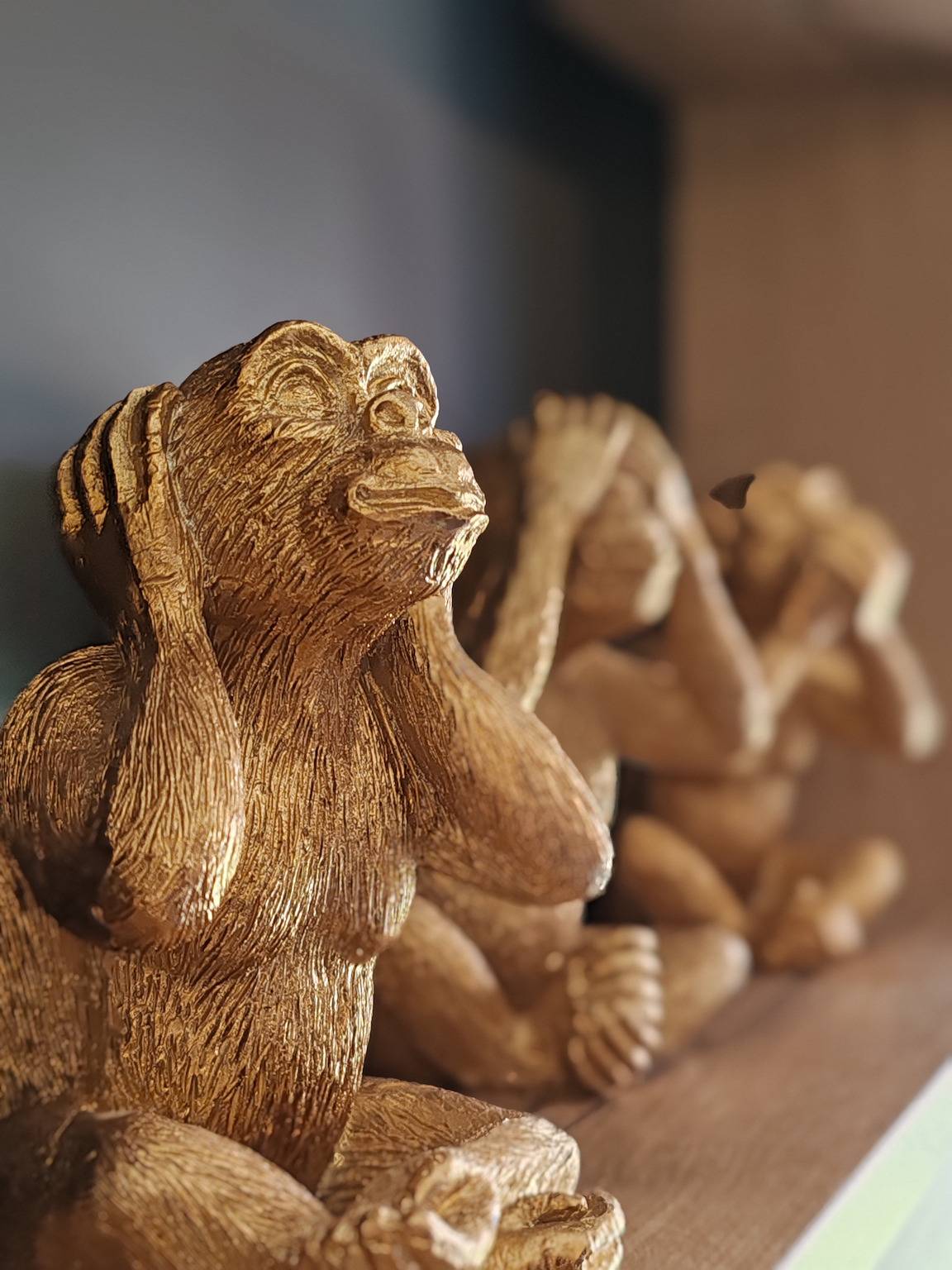 Ganze Wohnung, La Colombe - Bord de piste cyclable & lac in Duingt, Bauges