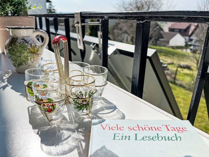 Ferienhaus für 6 Personen, mit Garten, mit Haustier in Löffingen - 2