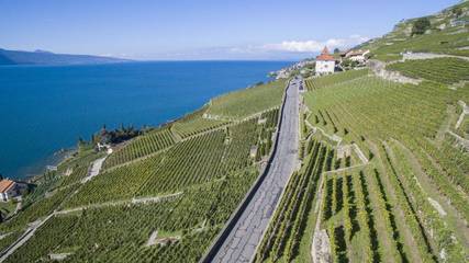Maison d’hôte pour 4 personnes, avec jardin ainsi que vue sur le lac et vue dans Chardonne
