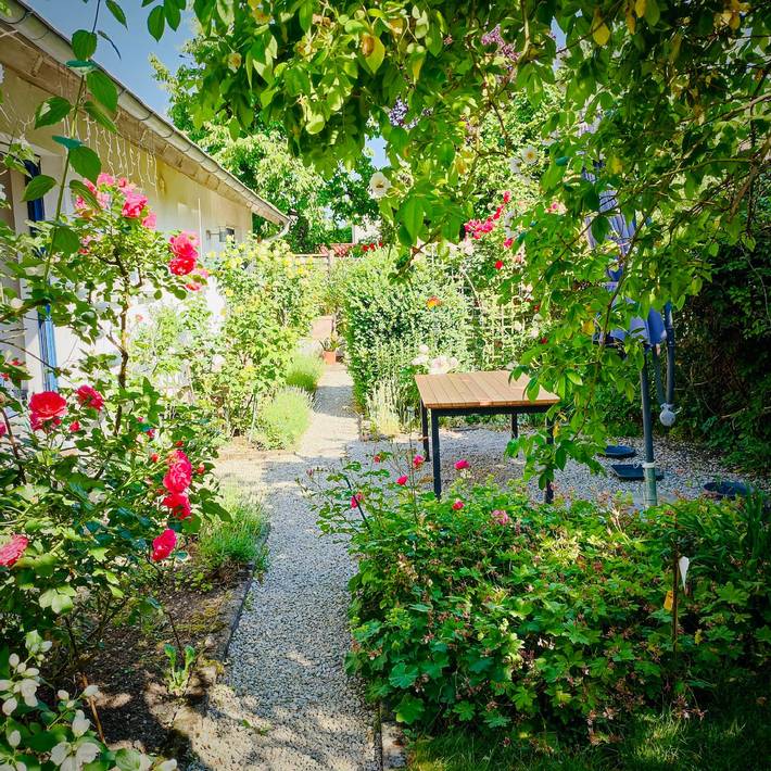 Ganze Wohnung, Anette's nettes Dachjuchhe - Möbilierte Ferienwohnung (70qm) mit Balkon - Anettes nettes Dachjuchhe in Hofheim in Unterfranken, Landkreis Haßberge